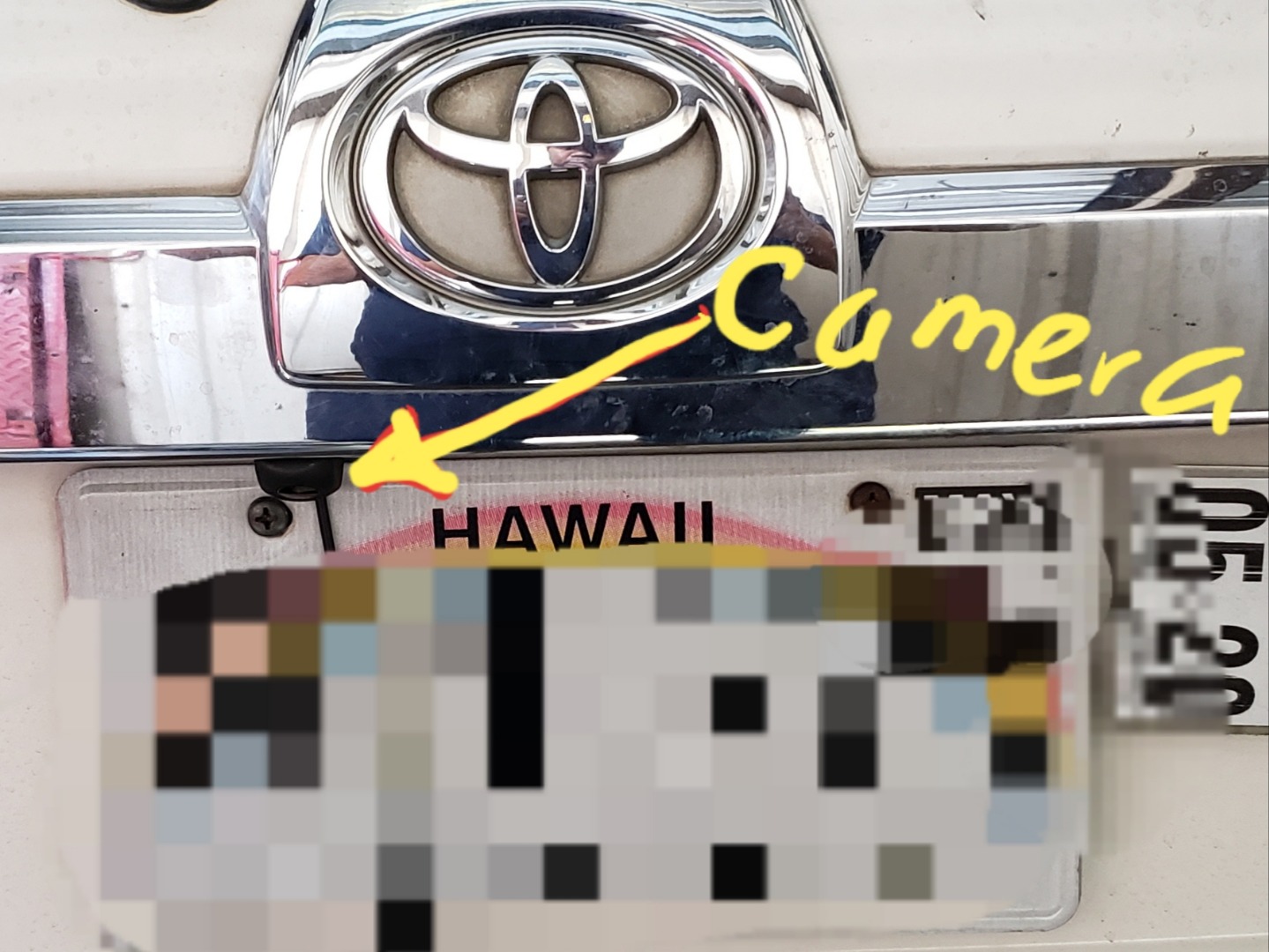 Customer review photo