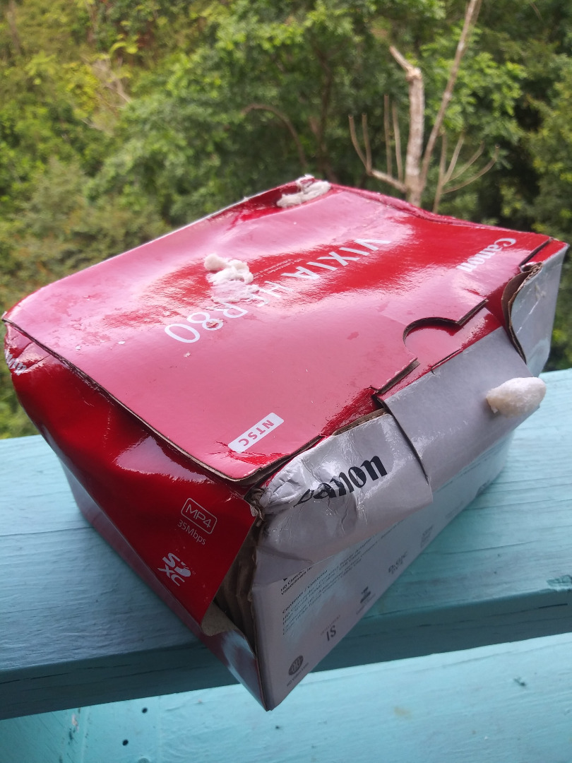 Customer review photo