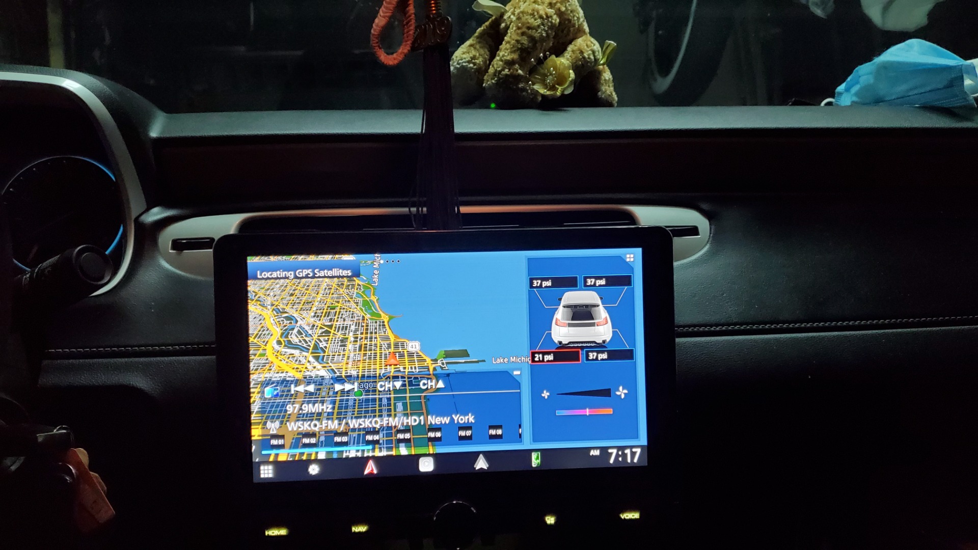 Customer review photo