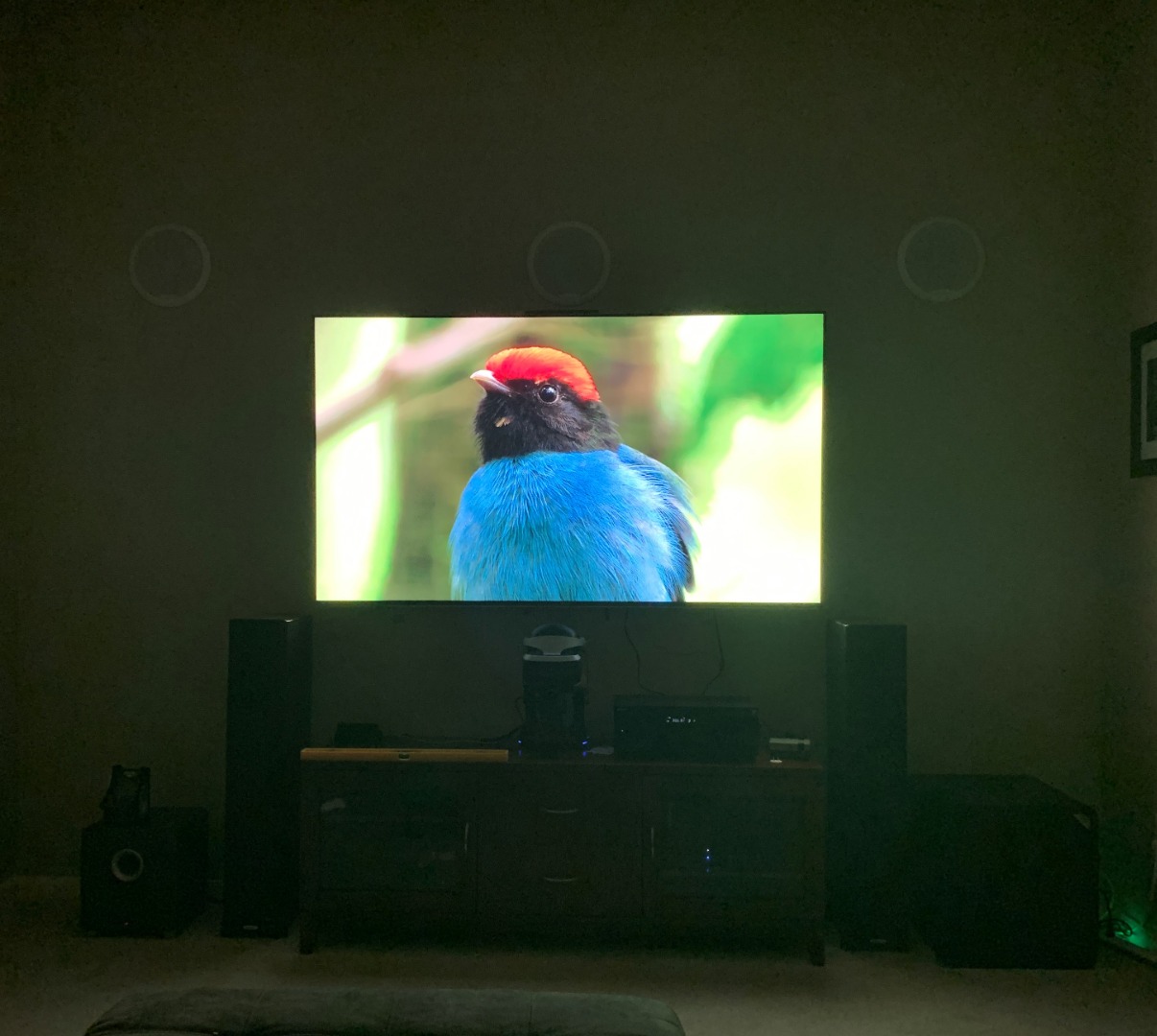 Customer review photo