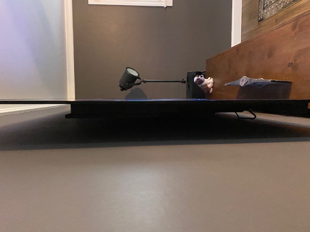 Customer review photo