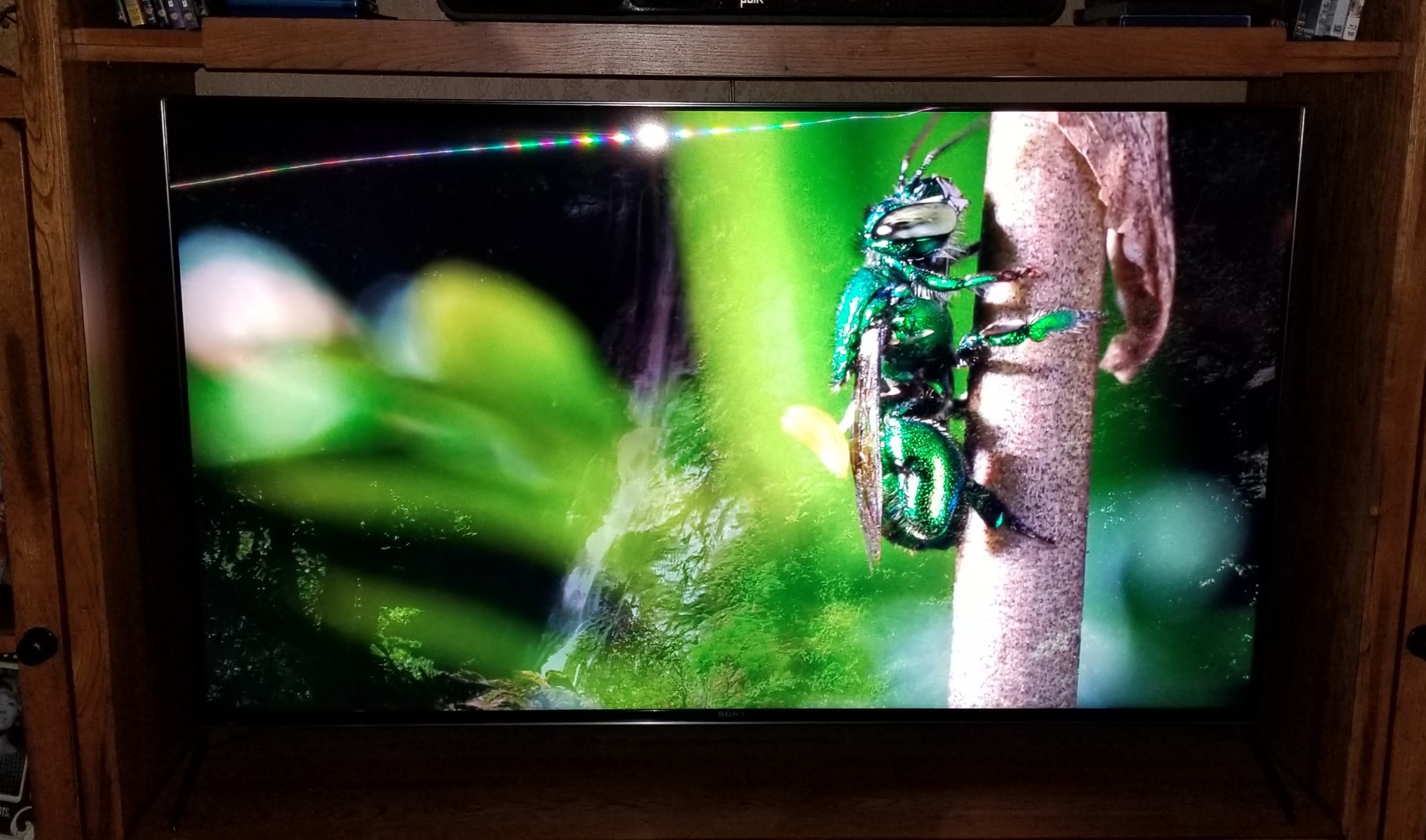 Customer review photo