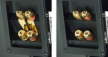 Biamp speaker terminals
