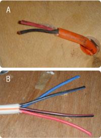 Speaker wire