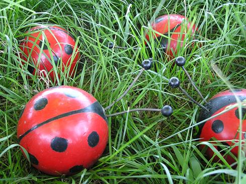 Ladybugs