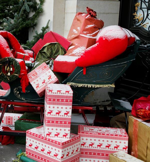 Fling Sleigh cargo area