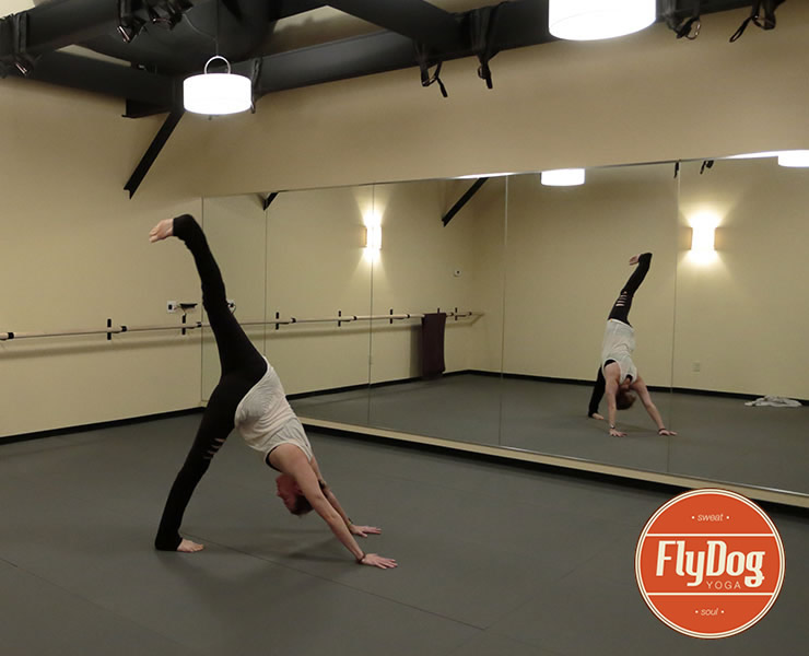 FlyDog Yoga