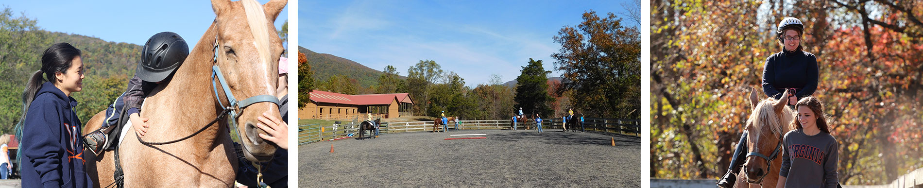 Tara volunteers with Charlottesville Area Riding Therapy