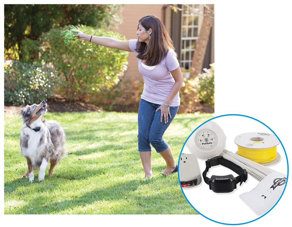 Woman playing with her dog in the yard while the dog wears a Yard Max collar.