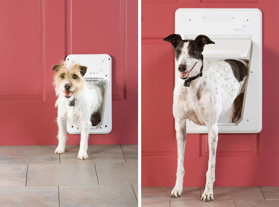 Photo of examples of the small and large Smart Doors.