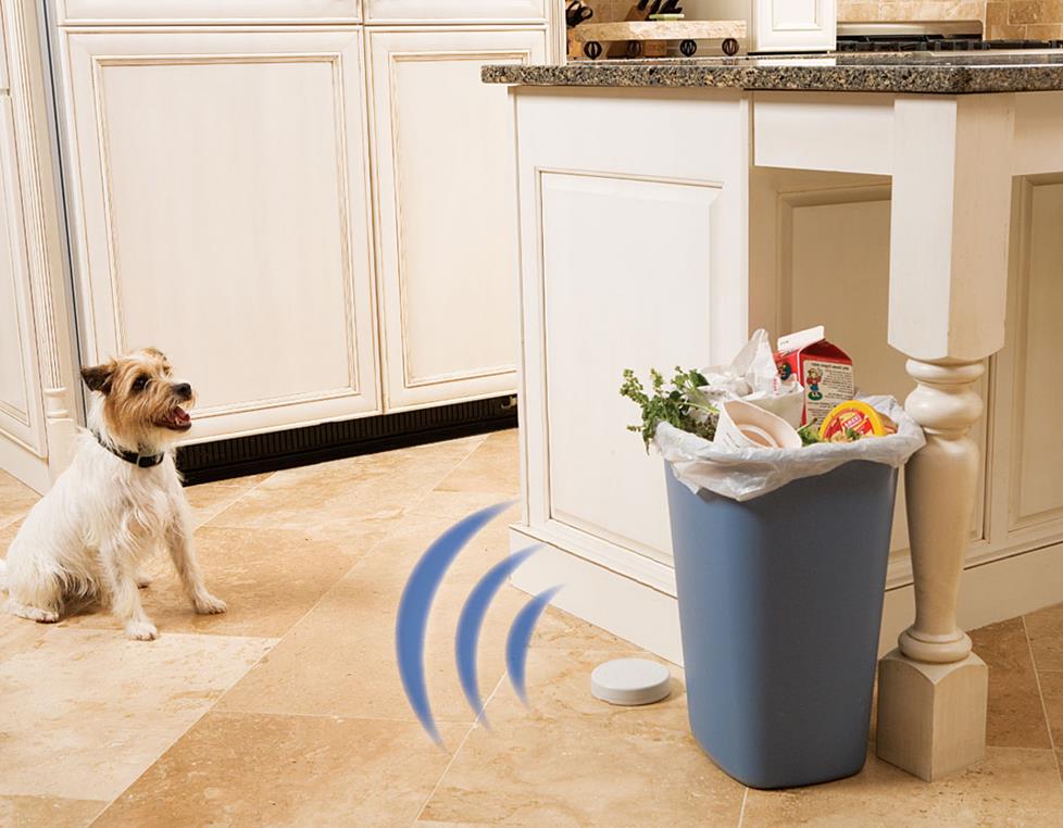 Dog staying away from the trash can because of the Stay Away.