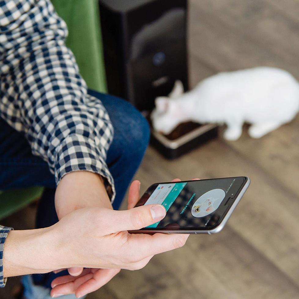 Photo of the Petnet Smart Feeder being controlled by a phone.