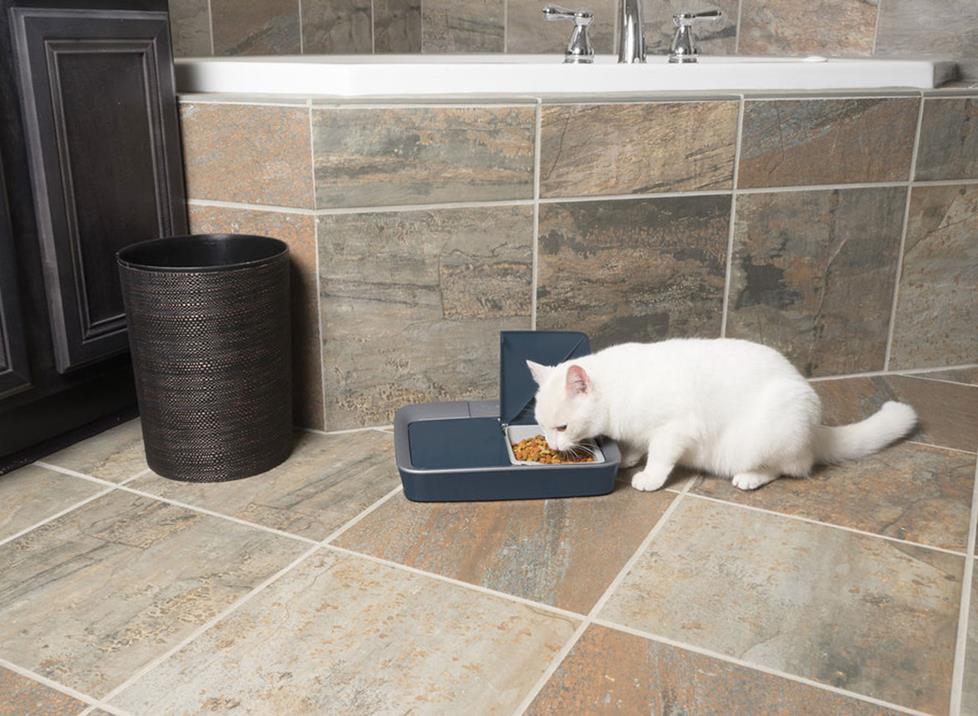 Photo of a cat eating out of a Two Meal feeder.