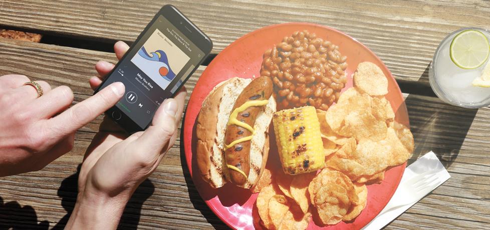 Person at picnic using Sonos on their phone