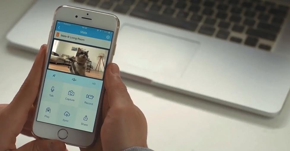 The PetKit Mate App
