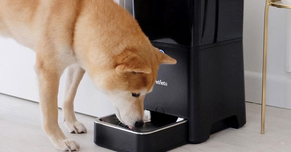 Petnet smartfeeder and Nest