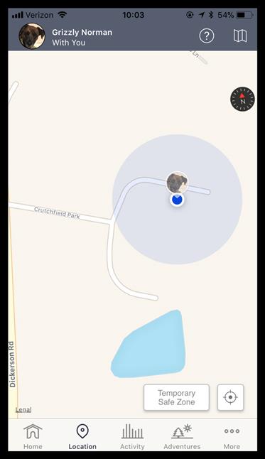 Screenshot showing pet's location.