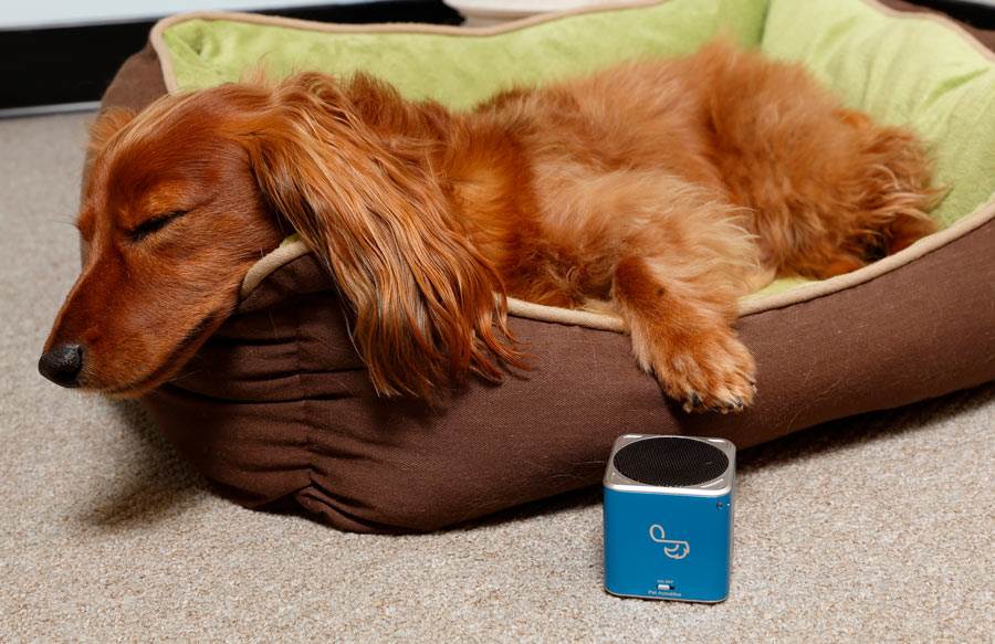 Cooper and his music