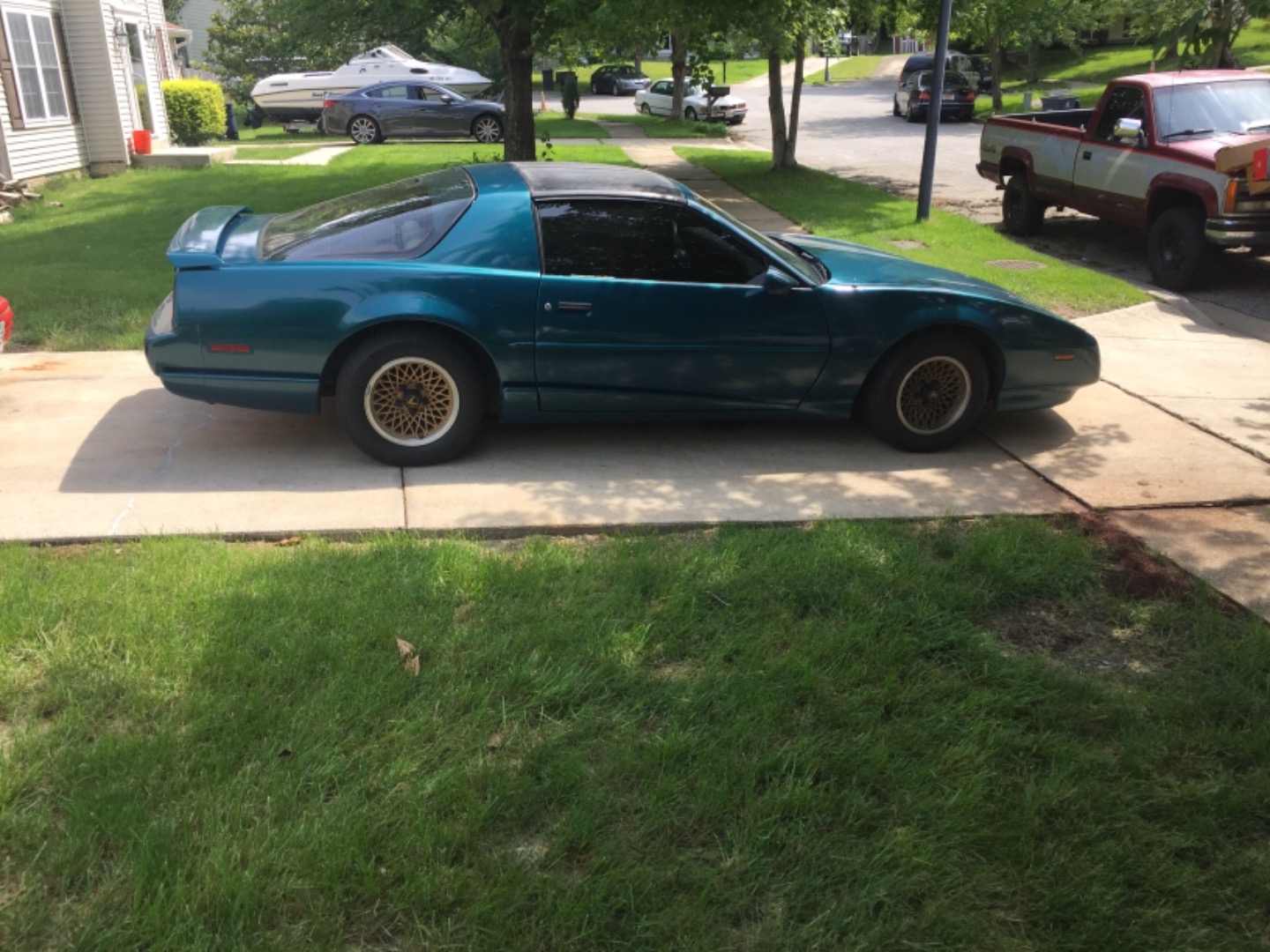 Customer review photo