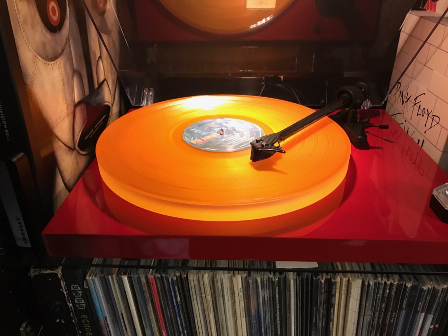 Customer review photo