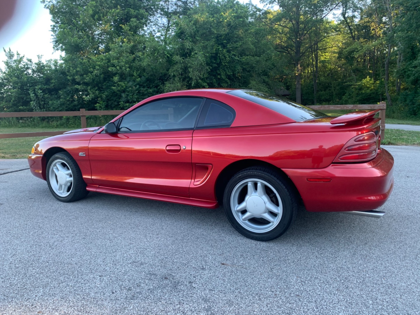 Customer review photo