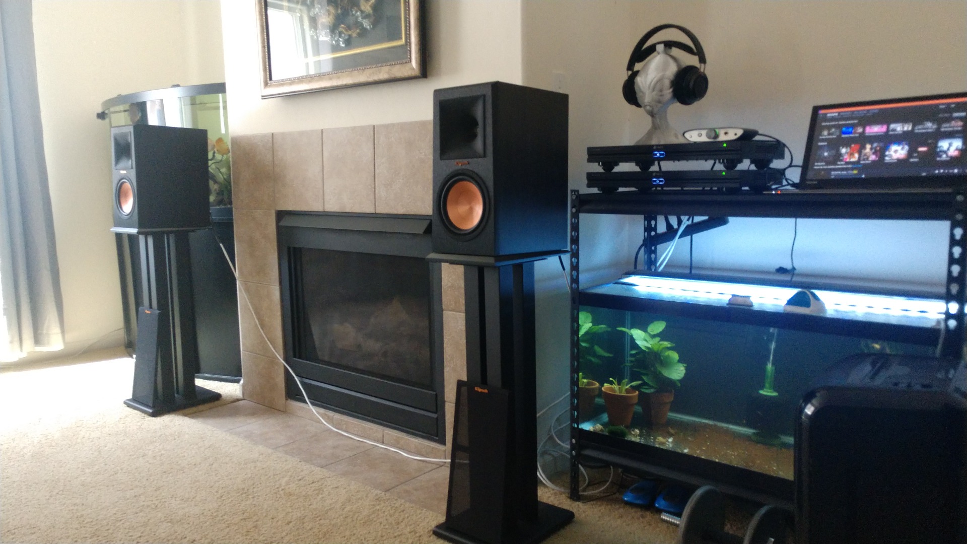 Customer review photo