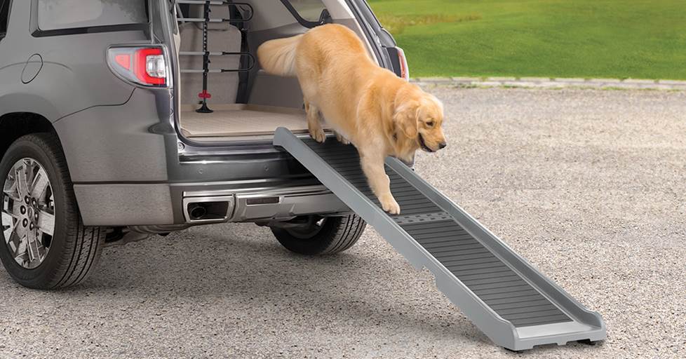 A dog walking down a WeatherTech foldable PetRamp to get out of a large SUV