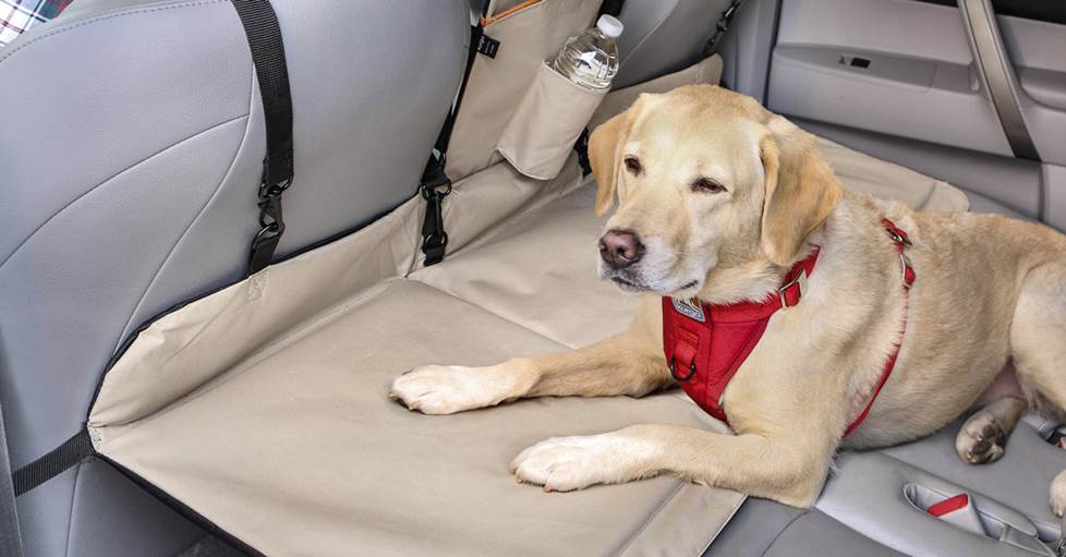 The Backseat Bridge bridges the gap between your front and back seats, giving your dog room to spread out