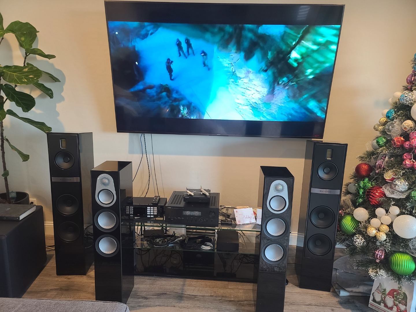 Customer review photo