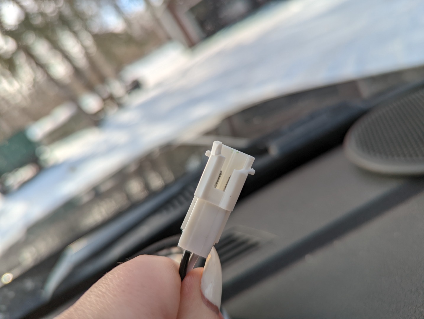 Customer review photo