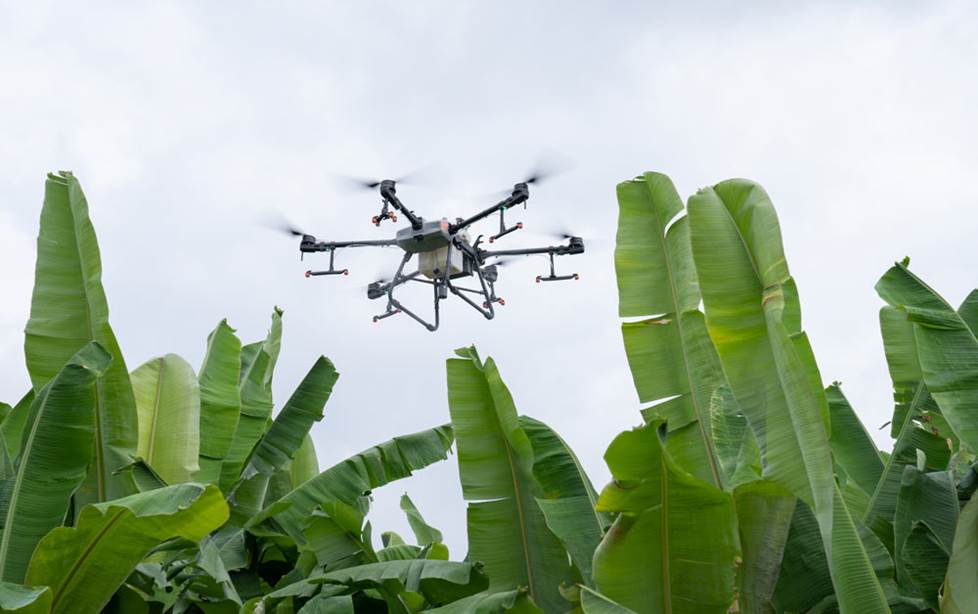 DJI AGRAS T30 spraying crops