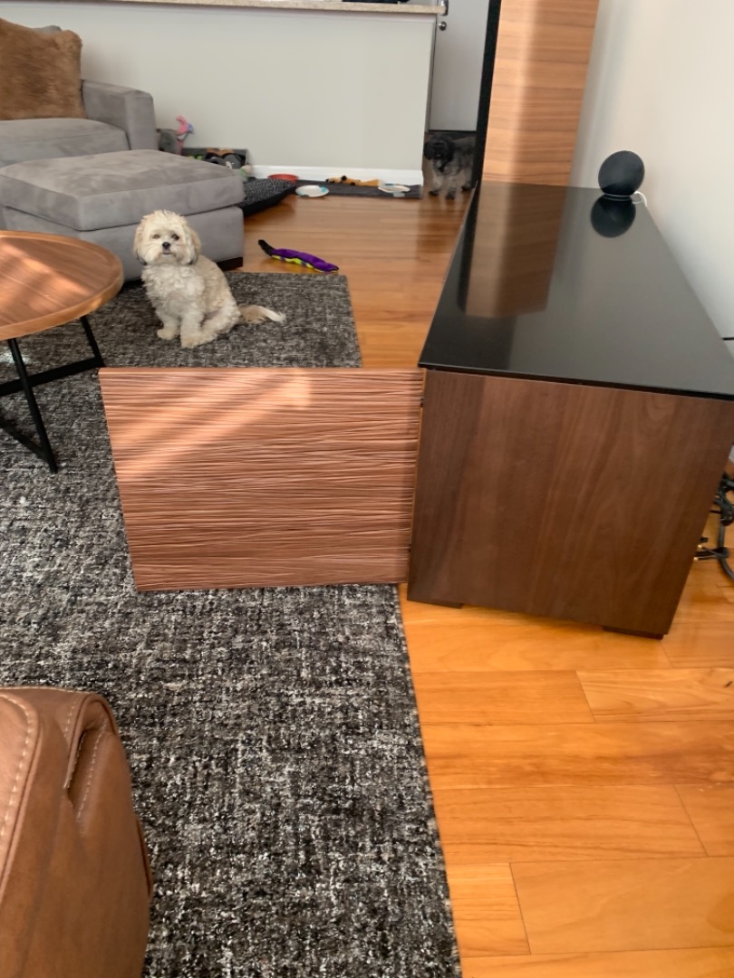Customer review photo