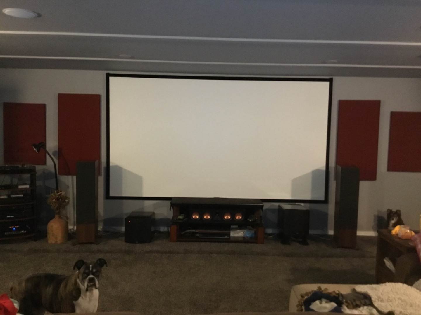 Customer review photo