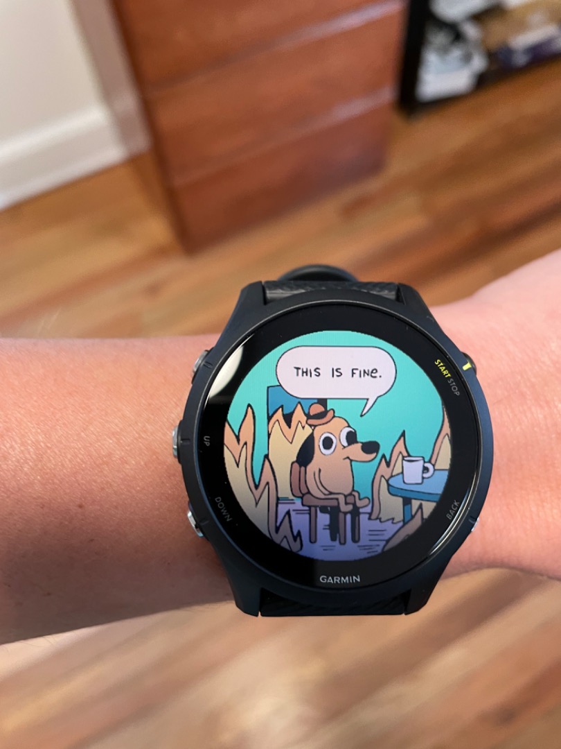 Customer review photo