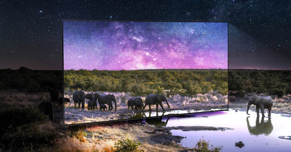 Photo of a TV with elephants walking out of the screen