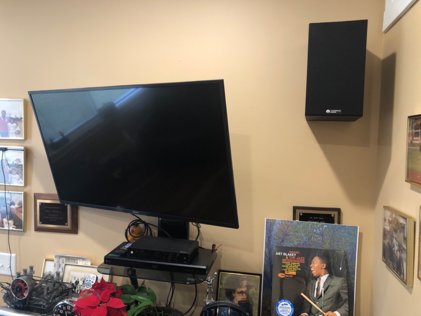 Customer review photo