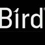 Focal Super Bird From Focal: Bird Speakers - Hifi System