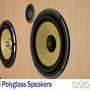 Focal Polyglass 130 VRS Focal Polyglass Speakers
