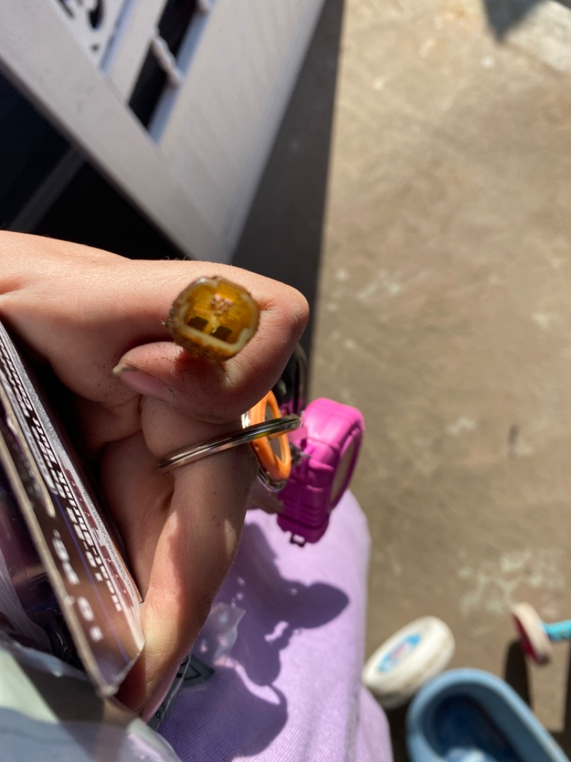 Customer review photo