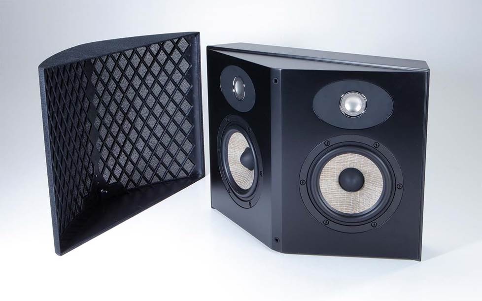 Dipole/Bipole speaker.