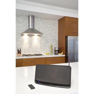 Pioneer A1 Wi-Fi speaker with AirPlay
