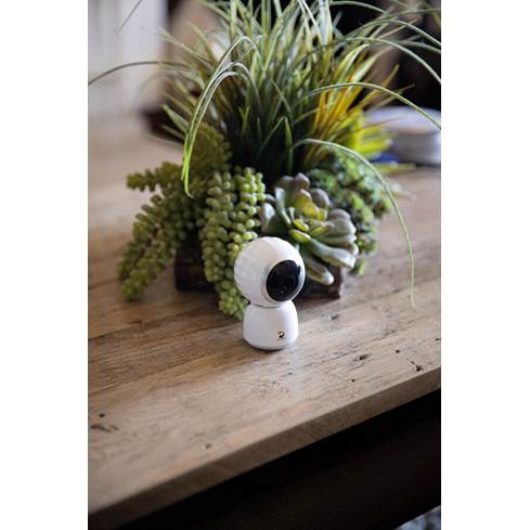 Alcidae Visioner is compact