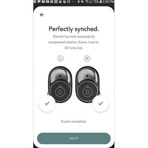 screenshot of the Gemini app