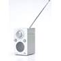 Tivoli Audio iPAL White/Silver w/antenna extended