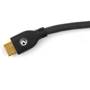 Planet Waves HDMI Cable Other