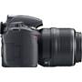Nikon D3100 Kit with Standard Zoom and Telephoto VR Zoom Lenses Right side view