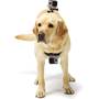 GoPro Fetch™ Dog Harness Cameras can be mounted at chest or head level