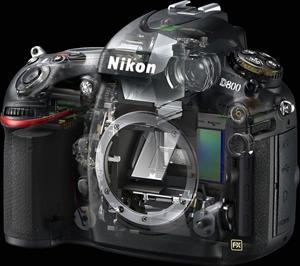 The Nikon D800, semi-transparent view