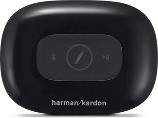 Harman Kardon Adapt