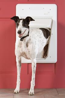 The SmartKey device on your pet's collar is the only thing that will unlock the SmartDoor.